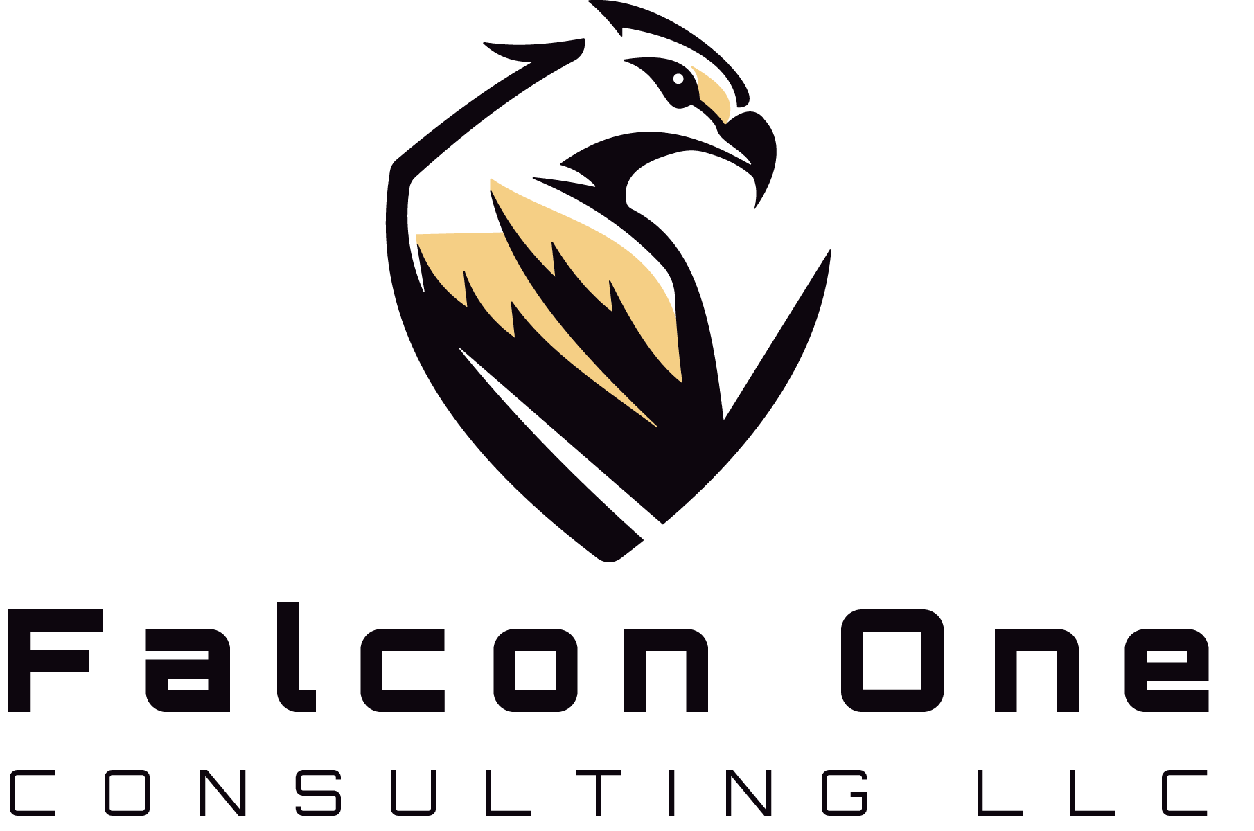 Falcon One Consulting LLC